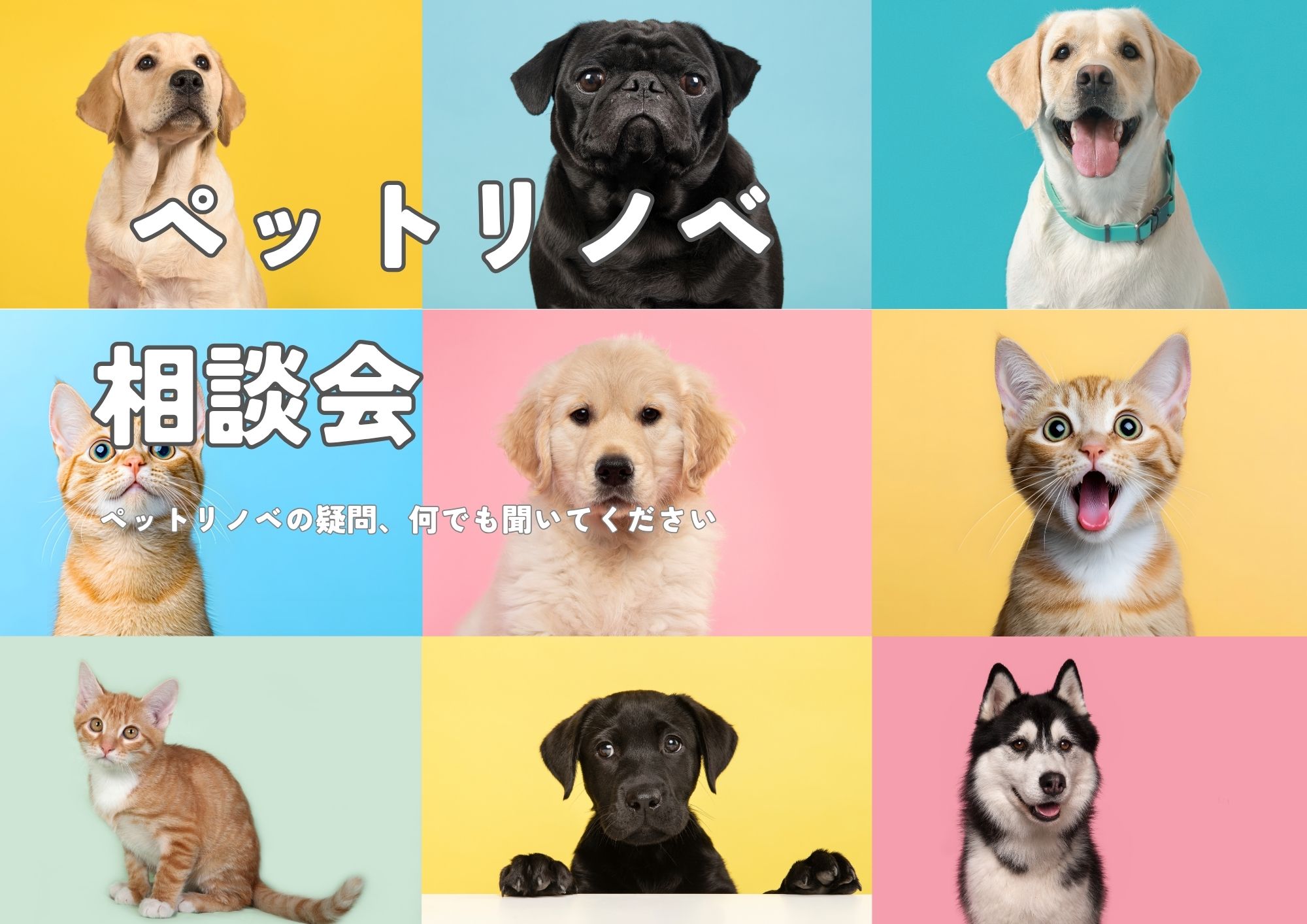 ペットと暮らす家をもっと快適にしたい｜“ペットリノベ”相談会